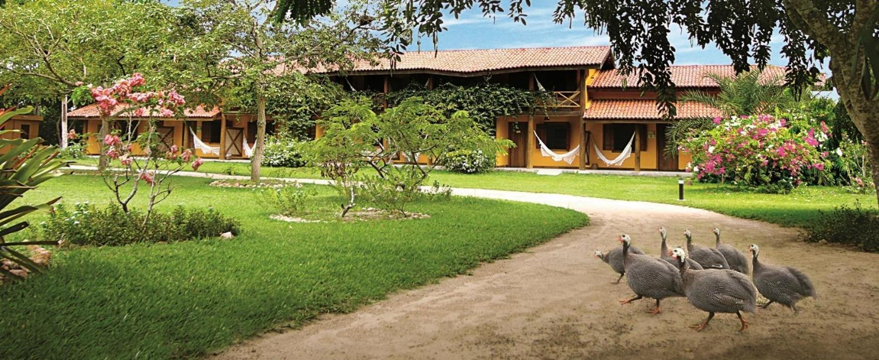 Fazenda Hotel Candeal Conceicao de Jacuipe Bagian luar foto